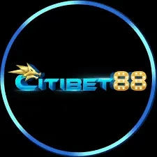 citibet88 171slot - 9